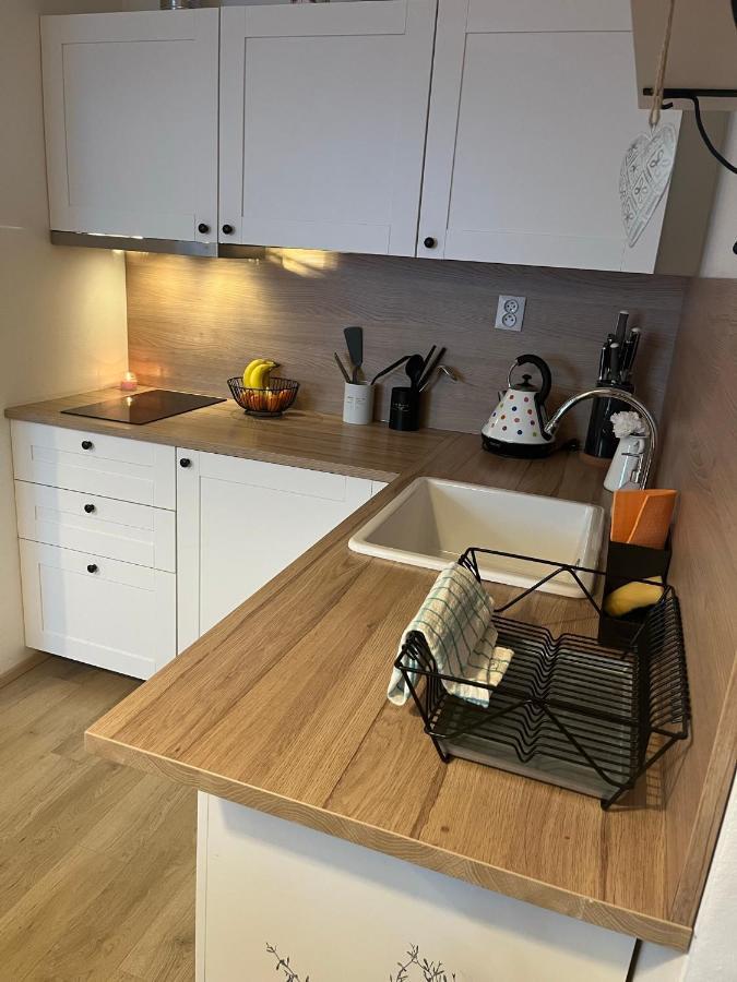 Utulny Apartman Na Dolni Morave Dolni Morava Ngoại thất bức ảnh